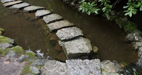 Stepping stones over the pond Stock Footage 123742063