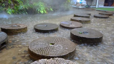 Stepping Stones Over Shallow Stream in Rainy Forest Garden Setting Stock Footage 342210377