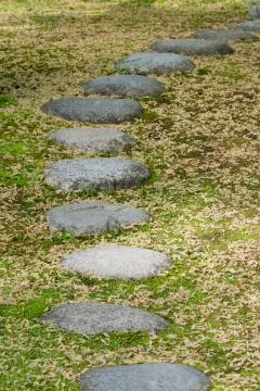 Stepping Stones Stock Photos