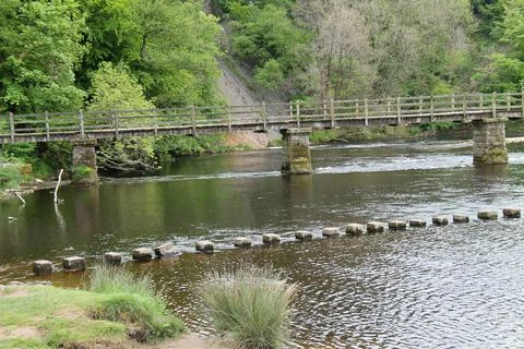 Stepping Stones. Stock Photos