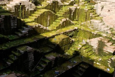 Steps with algae of mahilabagh step well, Jodhpur, Rajasthan, India Copyri... Foto stock