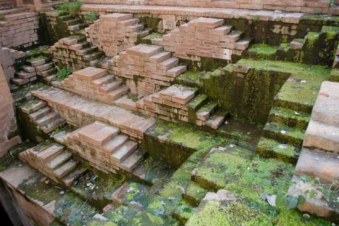 Steps with algae of mahilabagh stepwell, Jodhpur, Rajasthan, India Stock Photos