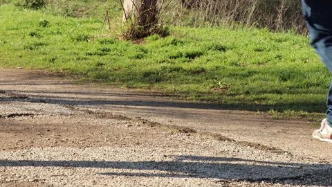 Steps along the path - 4k - ProRes Stock Footage 146527384