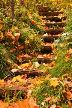 Steps into autumn Stock Photos