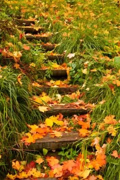 Steps into autumn Stock Photos