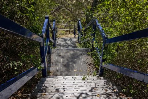 Steps To The Beach Through The Trees Stock Photos