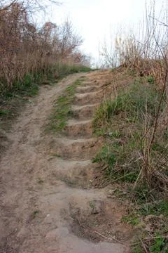 Steps built into a slope or dig up on a hill and path in the forest. Stock Photos