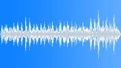 Steps on concrete with birds in backgroundSound Effect