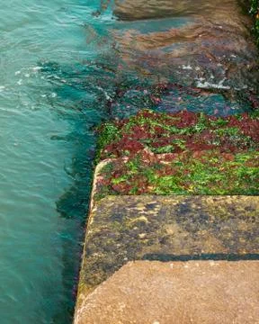 Steps covered in green algae leading down into the sea / water. Stock Photos