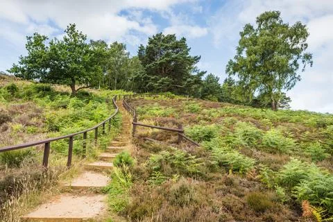 Steps from Dersingham Bog Stock Photos