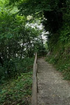 Steps down in the forest in the mountains of Georgia Stock Photos