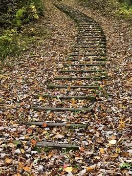 Steps in fall 写真素材