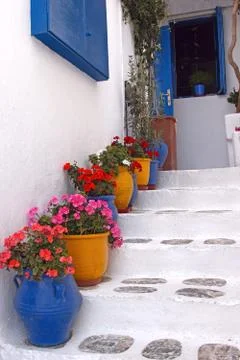 Steps with flower pots Stock Photos