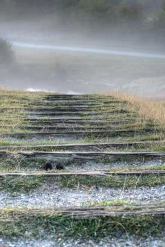 Steps into fog Foto stock