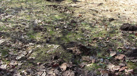 Steps Stock-Footage 22784486