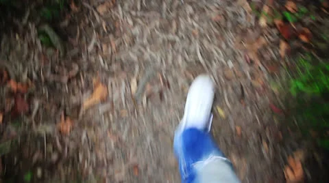 Steps in forest Stock Footage 24184644