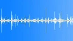 Steps on a forest roadSound Effect