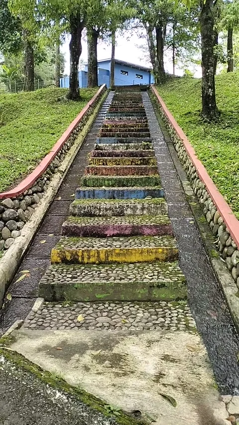 Steps of a garden Stock-Footage 333903650