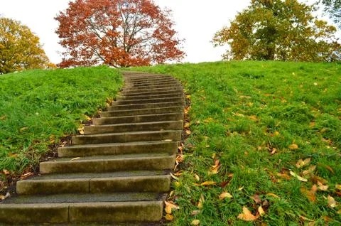 Steps going uphill with colourful trees in the background and green grass on Stock Photos