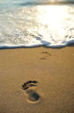 Steps of gold Stock Photos