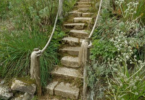 Steps with a hand rail made of rope in a busy garden Fotos de archivo