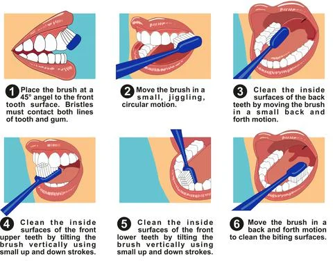 Steps of how to brush and clean your teeth infographic diagram Stock Illustration