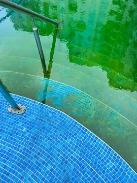 Steps lead into a pool filled with green water. The reflection of buildings c Stock Photos