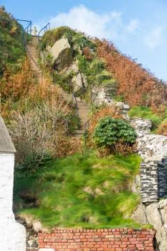 Steps leading up though grass, rocks and ferns. Stock Photos