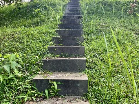 Steps made of gray cast cement on a cliff with green grass	 Stock Photos