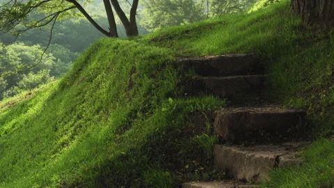 Steps of an old stone staircase in a forest on a hill with green grass and tr Stock Footage 134471401