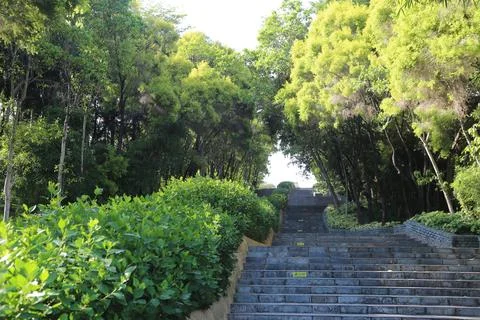 The steps of the park go up and down, with green plants on both sides. The .. Stock Photos