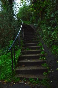 Steps in a park with greenery on both sides and a railing Stock Photos