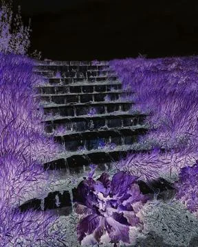 Steps Foto stock