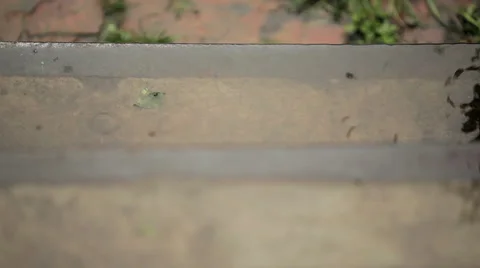 Steps in the rain Stock Footage 50491666