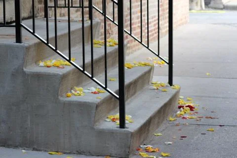 Steps with Rose Petals Foto stock