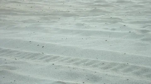 Steps On The Sand Stock Footage 7751657