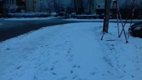 Steps in the snow Stock Photos