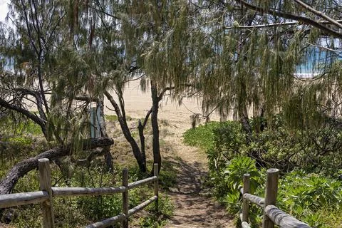 Steps Through Trees To Sandy Beach Stock Photos