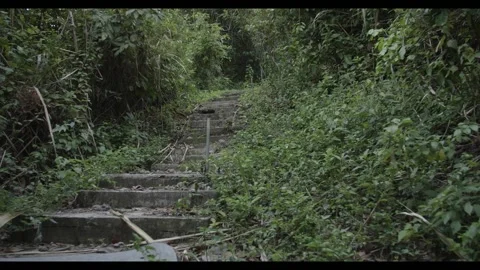 Steps up tropical forest hill Stock Footage 160808890