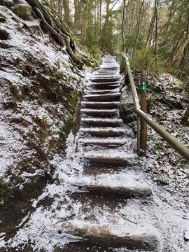 Steps in the winter forest Foto stock