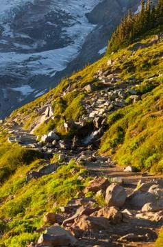 Stepway at snowy background Stock Photos