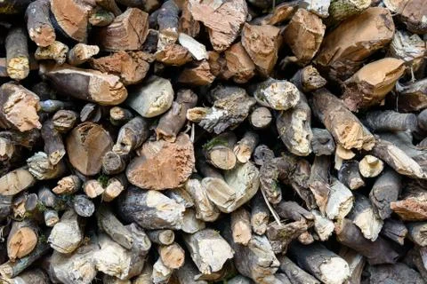 Stere of logs 스톡 사진