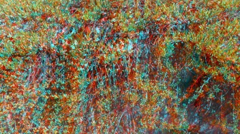 Stereoscopic 3D creeper falling on a wall 1a combo Video stock 11409056