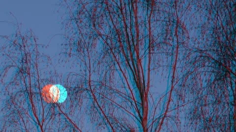 Stereoscopic 3D of moon rising behind the trees 1 combo Stock Footage 10810653