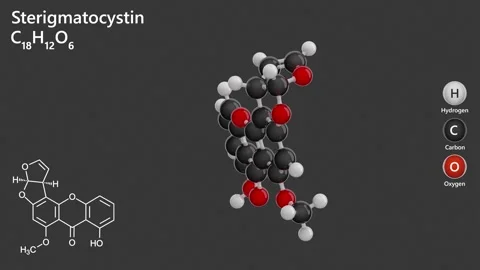 Sterigmatocystin. Polyketide mycotoxin. 3D model. Gray back. 3D render Stock Footage 290384095
