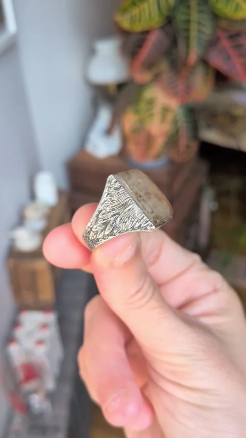 Sterling And Agate Mens Ring, Southwestern Jewelry, Etched Wings Design Band Stock Footage 343434254