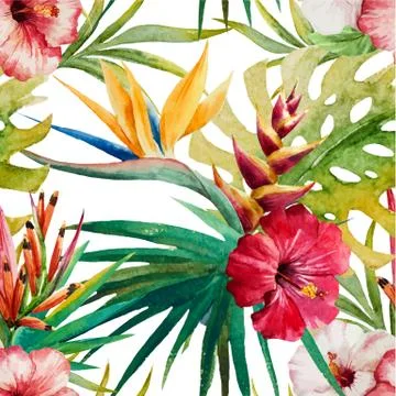 Sterlitzia tropical pattern Stock-Illustration