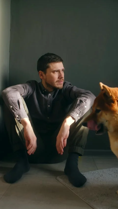 Stern man sitting on the floor staring at the camera with his shiba inu dog Stock Footage 337550715
