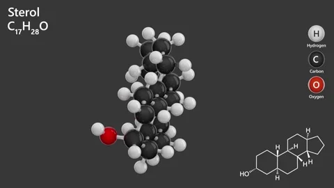 Sterol. 3D model of a molecule. C17H28O. Gray background. 3D rendering 스톡 동영상 289108796