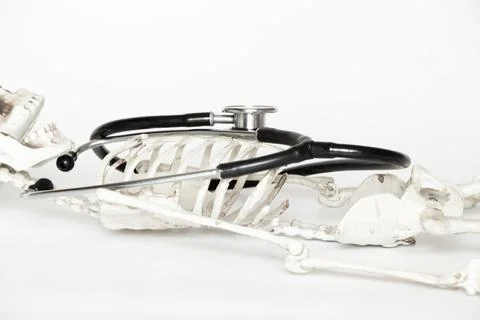 A stethoscope lies on a skeleton on a light background, close-up, diagnostics Stock Photos